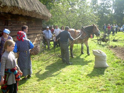 Gospodarstwo Agroturystyczne Dolina Bobrów dscn3916