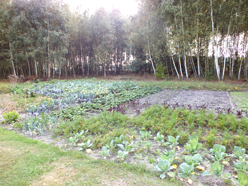 Gospodarstwo Agroturystyczne Dolina Bobrów ogrod-3
