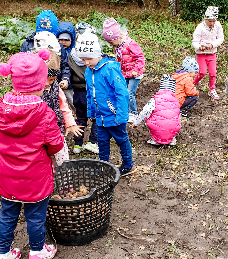 Gospodarstwo Agroturystyczne Dolina Bobrów Gospodarstwo Agroturystyczne Dolina Bobrów