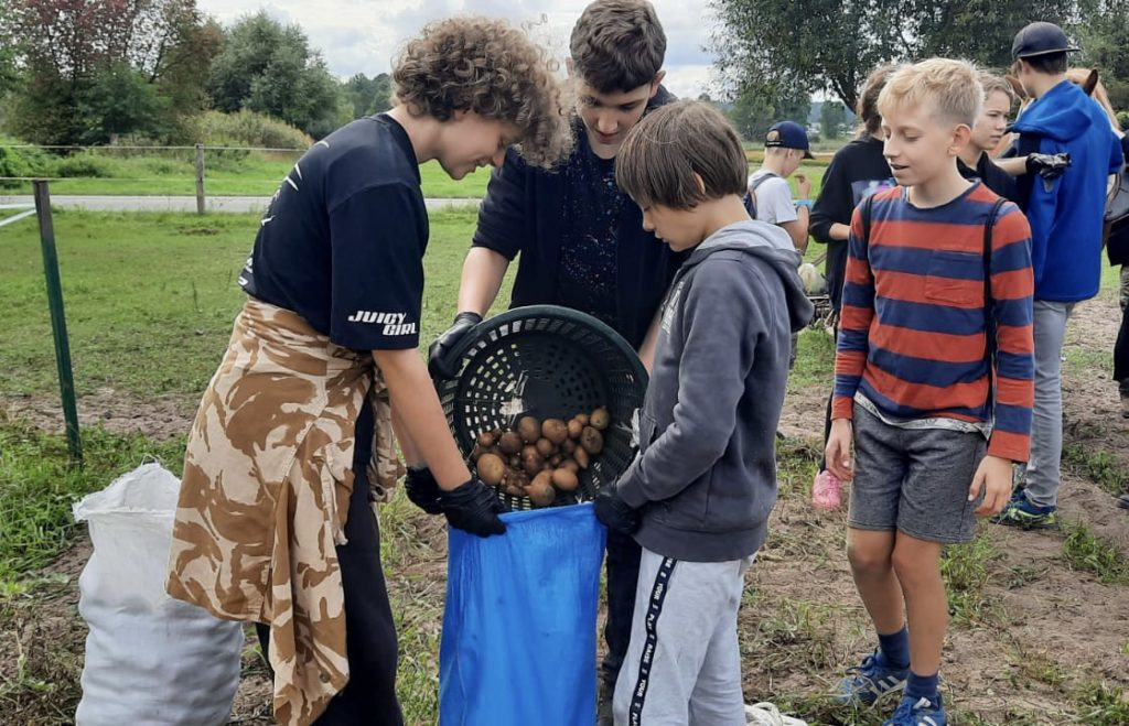 Gospodarstwo Agroturystyczne Dolina Bobrów Wykopki w gospodarstwie agroturystycznym Dolina Bobrów