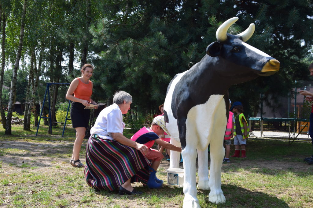 Gospodarstwo Agroturystyczne Dolina Bobrów Warsztaty mleko i jego przetwory, dojenie krowy w Gospodarstwie Agroturystycznym Dolina Bobrów