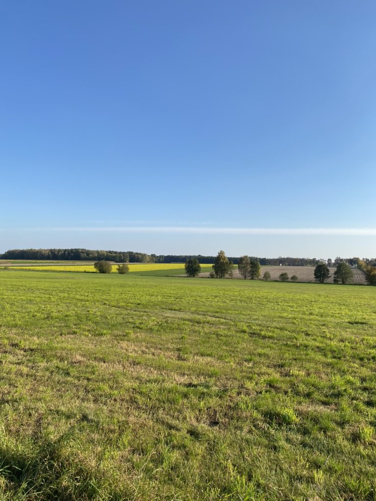 Okolice Gospodarstwa Agroturystycznego Dolina Bobrów