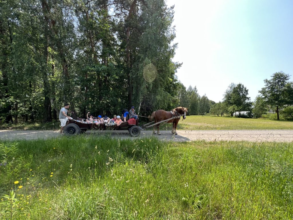 Gospodarstwo Agroturystyczne Dolina Bobrów Wycieczki wozem konnym Dolina Bobrów