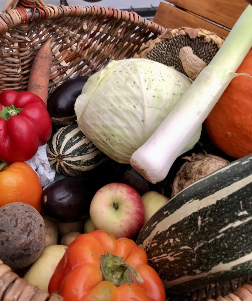 Gospodarstwo Agroturystyczne Dolina Bobrów Warsztaty jesienne, poznawanie warzyw i owoców po smaku i dotyku Gospodarstwie Agroturystycznym Dolina Bobrów