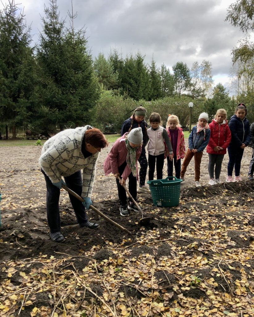 Gospodarstwo Agroturystyczne Dolina Bobrów Wykopki ziemniaków w Gospodarstwie Agroturystycznym Dolina Bobrów