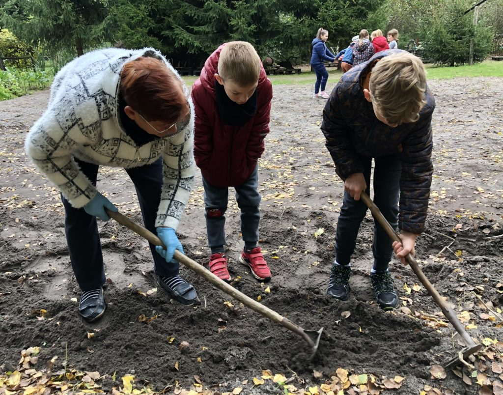 Gospodarstwo Agroturystyczne Dolina Bobrów Wykopki ziemniaków w Gospodarstwie Agroturystycznym Dolina Bobrów