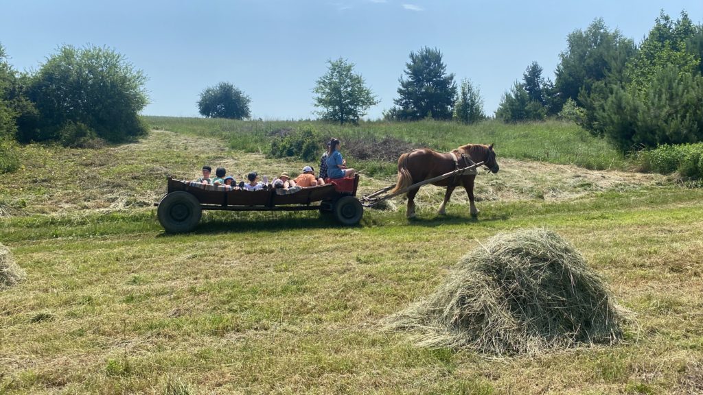 Gospodarstwo Agroturystyczne Dolina Bobrów Wycieczki wozem konnym Dolina Bobrów