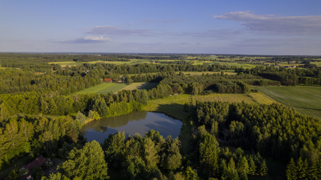 Rezerwat przyrody Wólczańska Góra oraz Rezerwat przyrody Świder