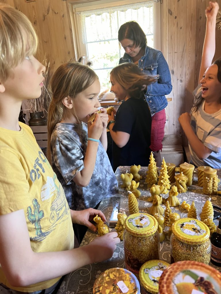 Gospodarstwo Agroturystyczne Dolina Bobrów proces produkcji miodu