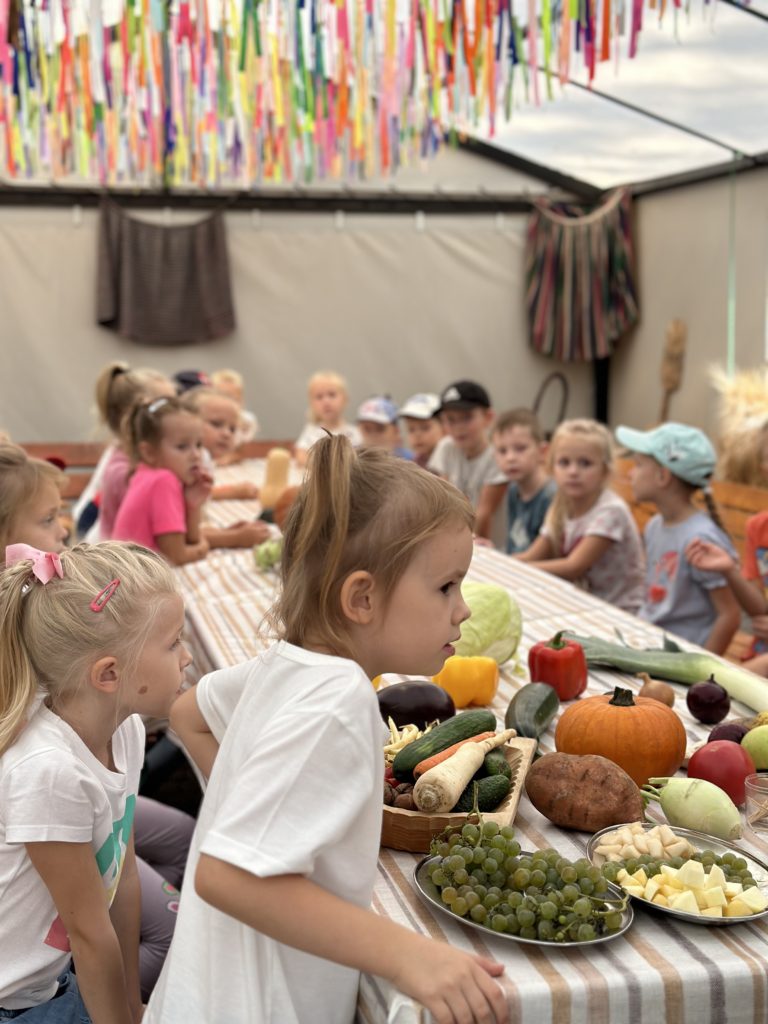 Gospodarstwo Agroturystyczne Dolina Bobrów Gry i zabawy